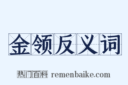 金领反义词是什么意思的图片
